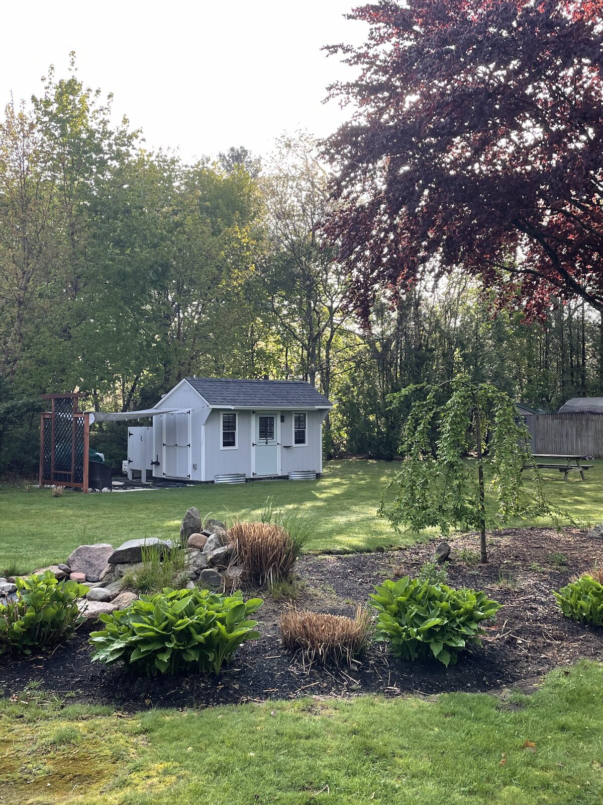 The she shed across the garden
